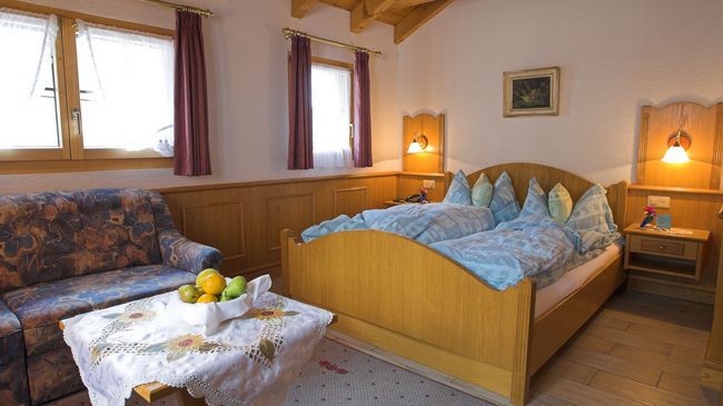 Hotel Alpina 3*